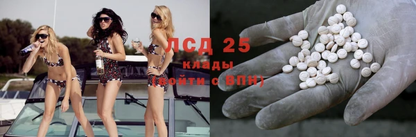 гидра Алексеевка