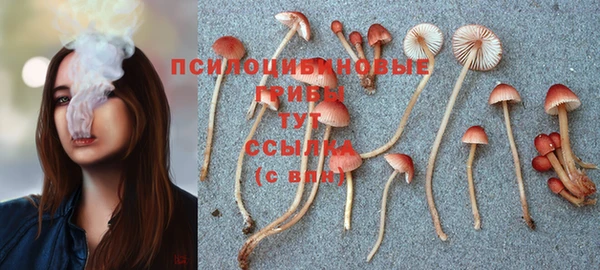дживик Алексин