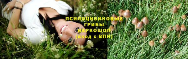 ГАЛЛЮЦИНОГЕННЫЕ ГРИБЫ Абаза