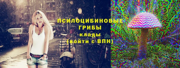 дживик Алексин