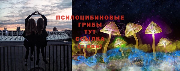 дживик Алексин
